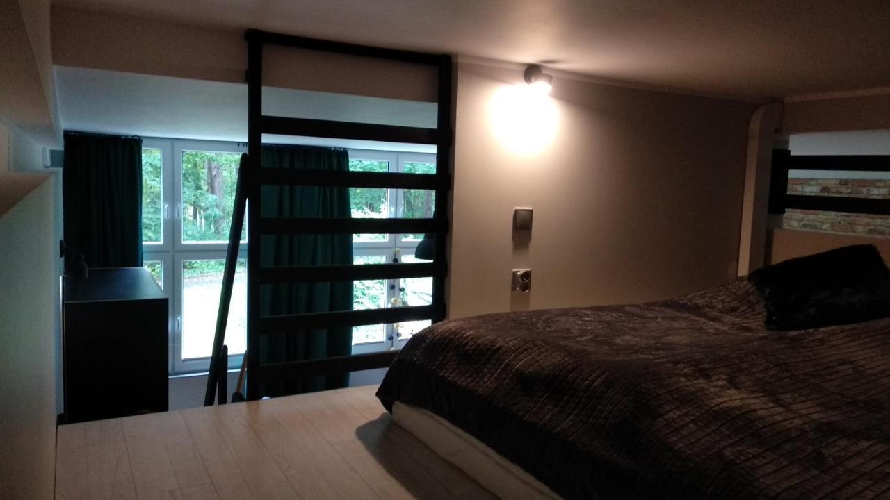 Apartament 5 Przy Parku Lesnym Polanica-Zdroj Dış mekan fotoğraf